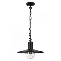 Подвесной уличный светильник Odeon Light 4833/1 фото