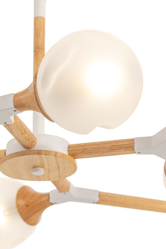 Потолочный светильник Freya FR5105CL-06W фото 5