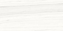 Керамогранит Ariostea Marmi Classici PL612517 Zebrino Bianco Luc 120x60 фото