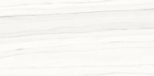 Керамогранит Ariostea Marmi Classici PL612517 Zebrino Bianco Luc 120x60