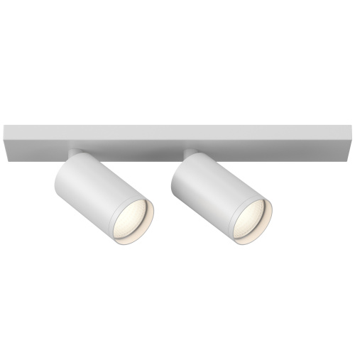 Потолочный светильник (Набор) Maytoni Technical C051CL-2W