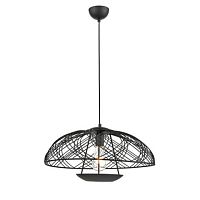 Подвесной светильник Vele Luce VL6282P01 фото