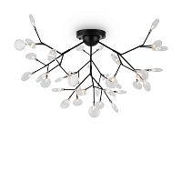 Потолочный светильник Freya FR5049CL-36B фото