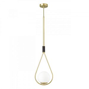 Подвесной светильник Odeon Light 4810/1 фото