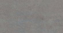 BIEN Arcides Grey 120x60 серый матовая фото