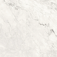 Керамогранит Lafaenza Ceramica Aesthetica AE CAL6 120 RM 120x120 фото