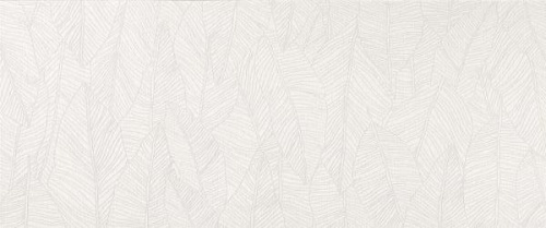 Плитка Atlas Concorde Aplomb A6FC White Leaf 50x120