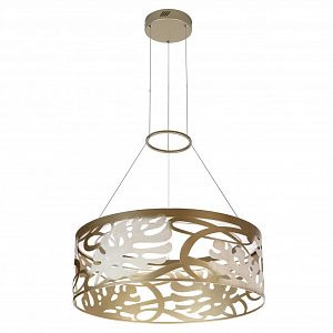 Подвесная люстра Favourite 2509-5P фото