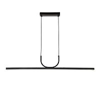 Подвесной светильник Favourite 4096-2P фото