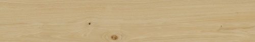 Italon Керамический гранит Element Wood Керамогранит Faggio 20x120 натуральный