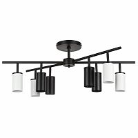 Люстра на штанге Lightstar LR728364374 фото