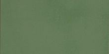 Керамогранит Casalgrande Padana R-Evolution Green 36SC R10 60x120 фото