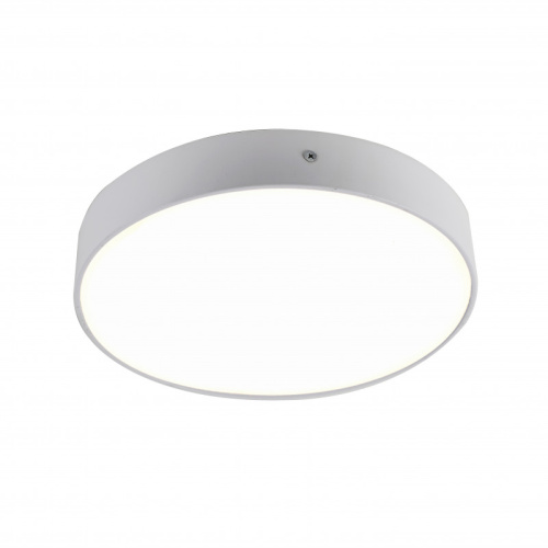 Накладной светильник Favourite 2065-30C