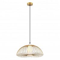 Подвесной светильник Favourite 2372-1P фото
