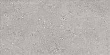 Керамогранит N30055 Flax Grey Matt 59.5x120 фото