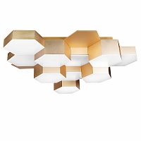 Накладной светильник Lightstar 750121 фото