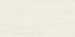 Керамогранит A21K Marvel Bianco Dolomite Lappato 60x120 фото