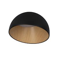 Накладной светильник LOFT IT 10197/350 Black фото