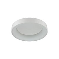 Накладной светильник Odeon Light 4066/40CL фото