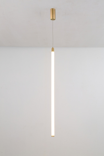 Подвесной светильник Maytoni Technical P022PL-L20G3K фото 3