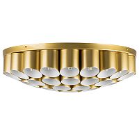 Накладная люстра Lightstar 720402 фото