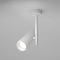 Потолочный светильник Maytoni Technical C020CL-01W фото