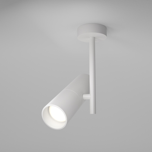 Потолочный светильник Maytoni Technical C020CL-01W