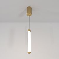 Подвесной светильник Maytoni Technical P022PL-L10MG3K фото