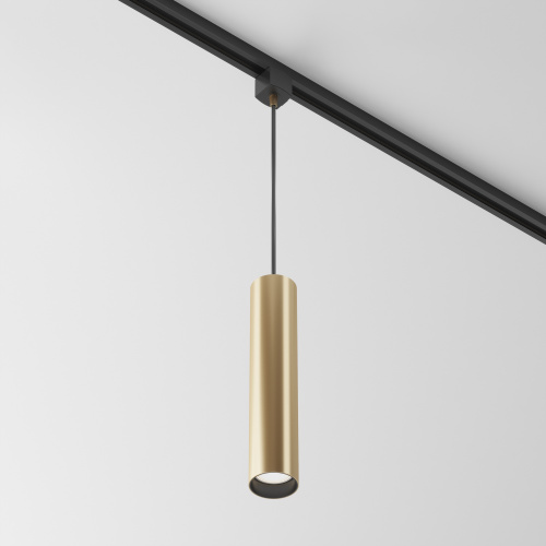 Трековый подвесной светильник Maytoni Technical TR025-1-GU10-MG