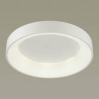 Накладной светильник Odeon Light 4062/50CL фото