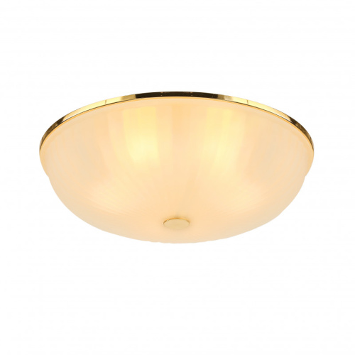 Накладной светильник F-Promo 2752-5C