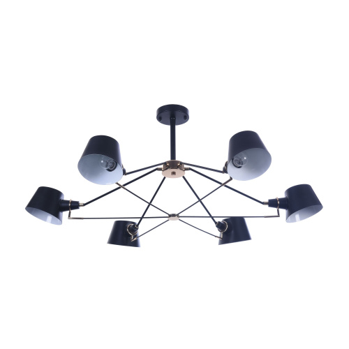 Люстра Freya FR5038-CL-06-B фото 4