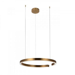 Подвесной светильник LOFT IT 10013L фото