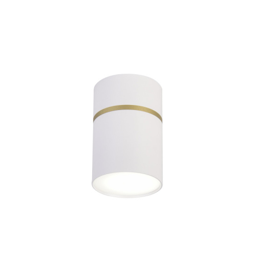 Накладной светильник Favourite 3067-1C