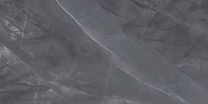 QUA Granite Space Anthracite 120x60 серый полированная фото