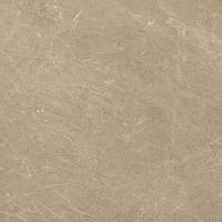 Керамогранит AEN1 Marvel Elegant Sable Lap. 60x60 фото