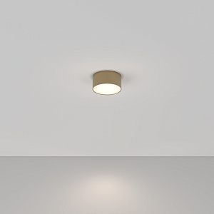 Потолочный светильник Maytoni Technical C032CL-L12MG4K фото