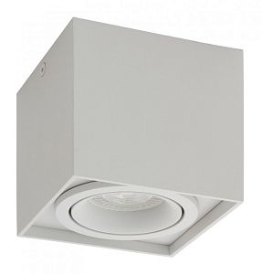 Накладной светильник Denkirs DK2003-WH фото