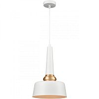 Подвесной светильник Vele Luce VL2141P01 фото